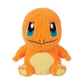 Pokemon - Sekiguchi Charmander Mokomoko Puchi